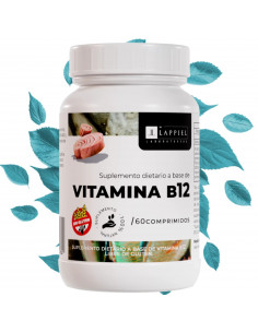 Bylappiel Vitamina B12 X 60...
