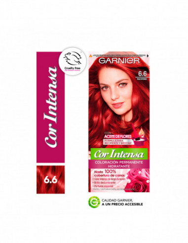 Kit Tintura Permanente Cor Intensa...