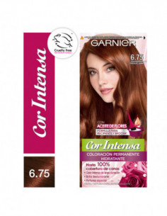 Kit Tintura Permanente Cor...